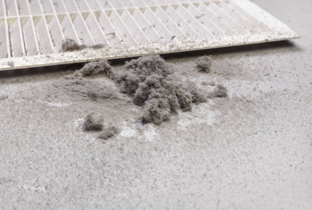 Best Best Air Duct Cleaning Company  in Opa Locka, FL