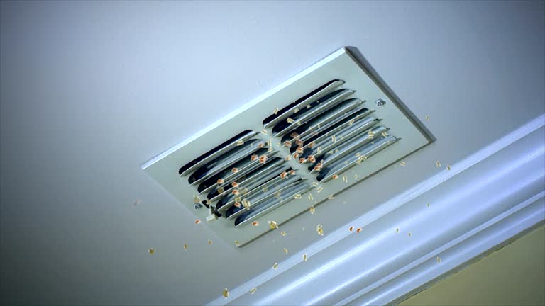 Best Air Duct Cleaning Near Me in Opa Locka, FL
